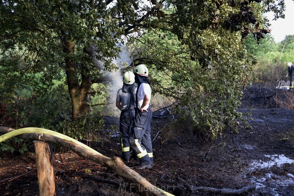 Waldbrand Koeln Hoehenhaus Hoehenfelder Mauspfad P099.JPG - Miklos Laubert